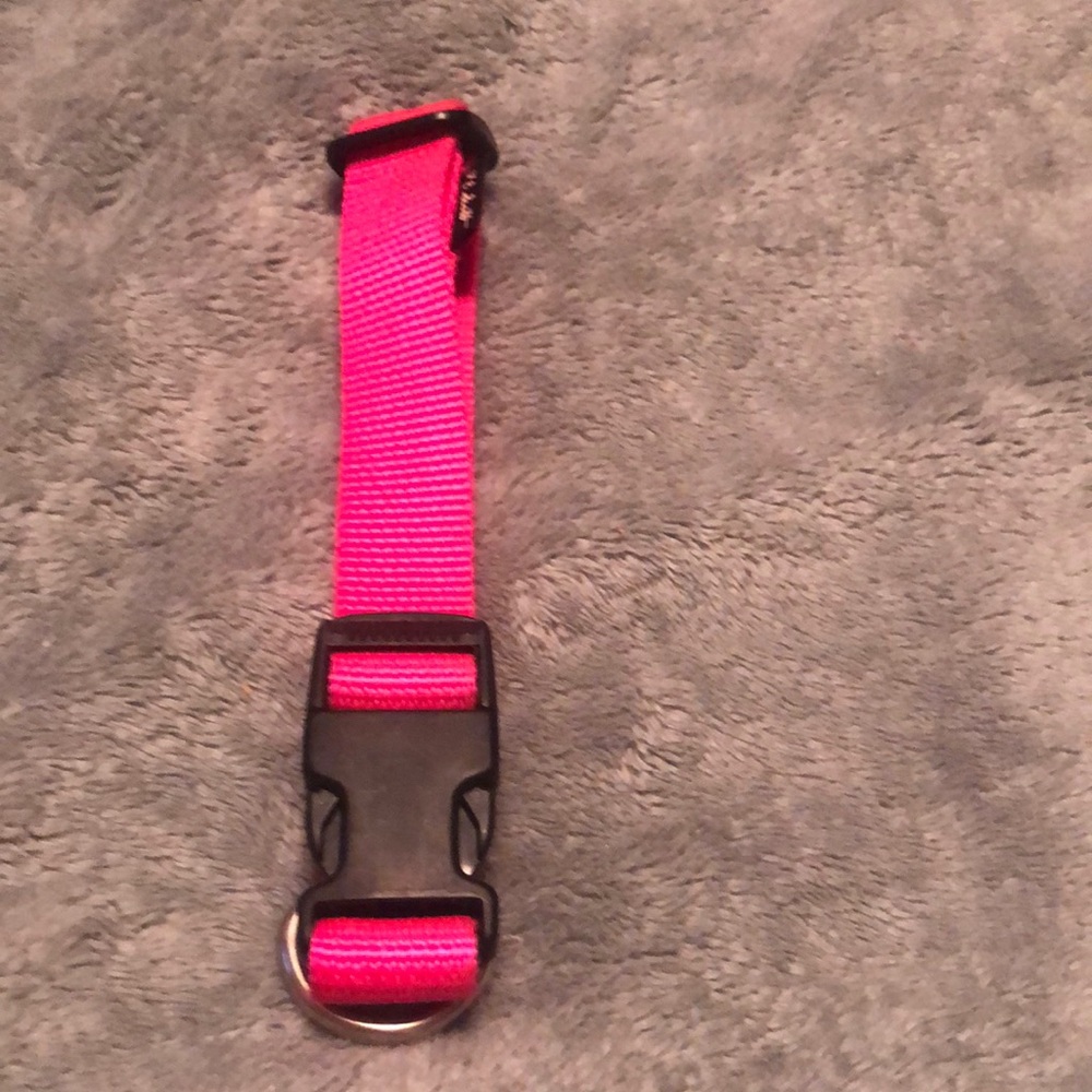 NWOT Bright Pink Dog Collar